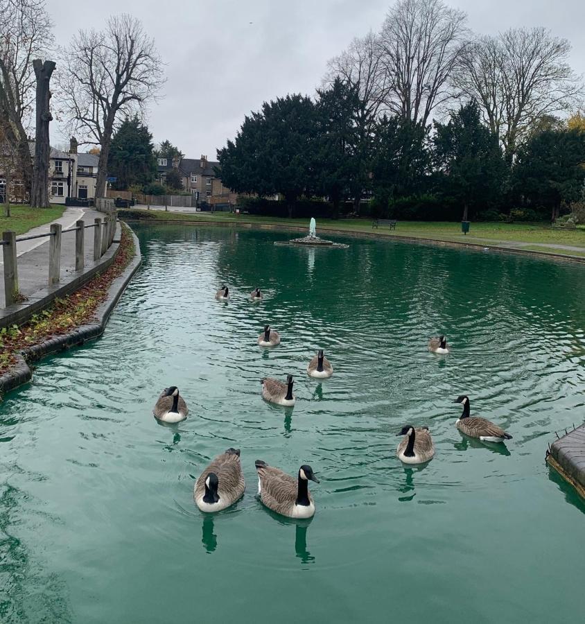Beddington Park Lodge West Wallington Bagian luar foto